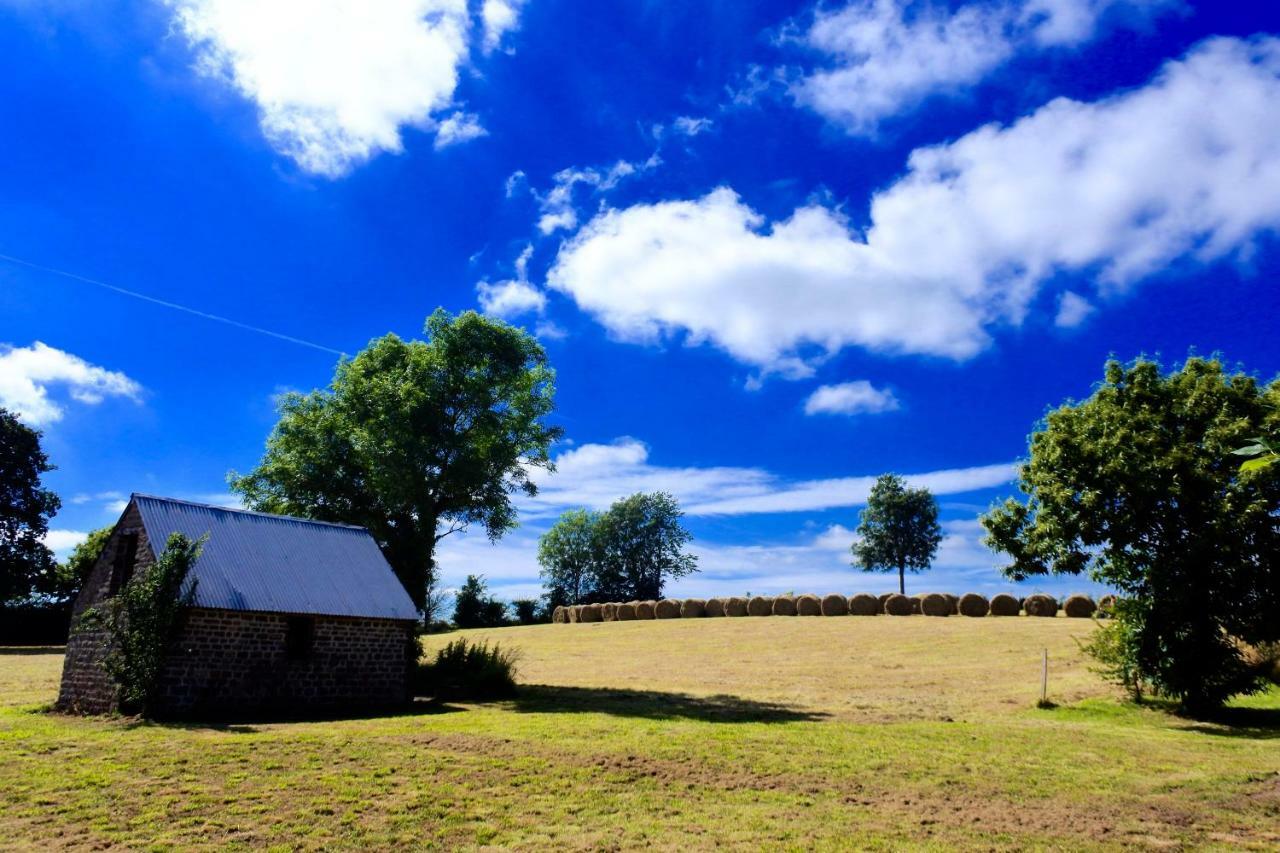 L'Auberdiere Saint-Jean-des-Essartiers エクステリア 写真